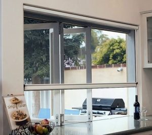 Bayrampaşa Sineklik