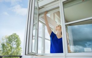 Beylikdüzü Sineklik