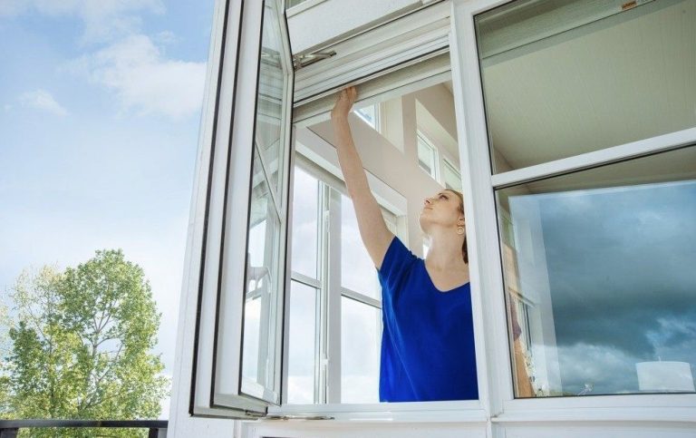 Beylikdüzü Sineklik