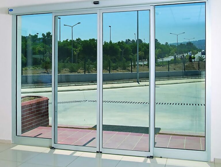 Bahçelievler Kedi Sineklik