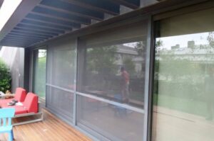 Sarıyer Kedi Sineklik